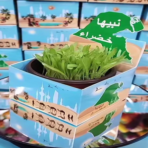 plants (12 PCS)